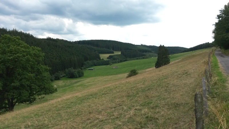 Blick über das Enscheider Bachtal - der Rückweg kurz vor Grevenstein